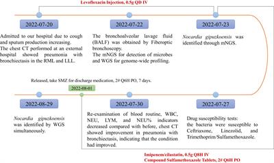 Case report: Nocardia gipuzkoensis infection in an immunocompetent patient diagnosed by metagenomic next-generation sequencing and whole genome sequencing